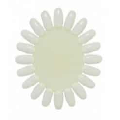 pns color wheel set naturel
