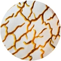pns foil design 02