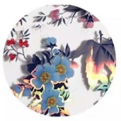 PNS Foil Design 07