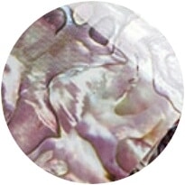 PNS Foil Marble Purple Shell 10 - Prime Nails