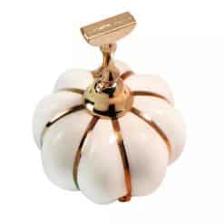 Tip Houder Display Bloem : Pompoen 01